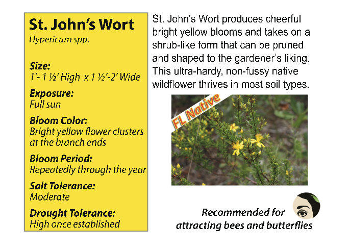 wort