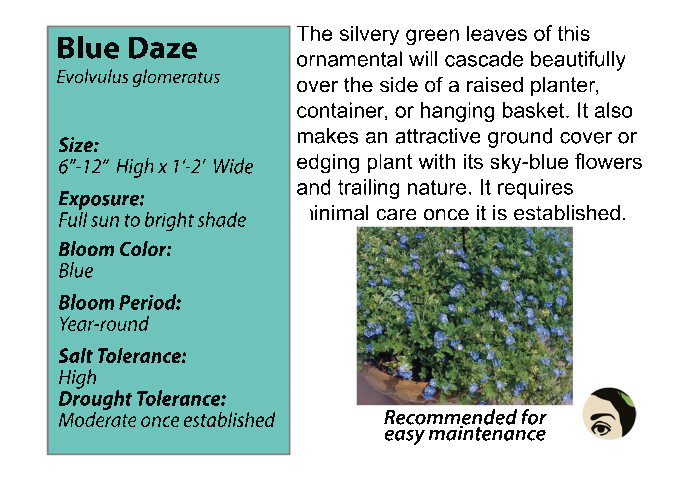 Blue Daze