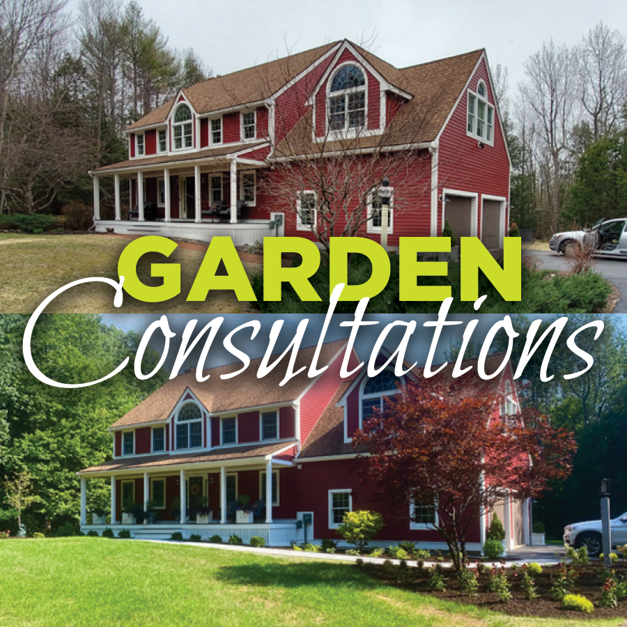 In-Store Garden Consultation